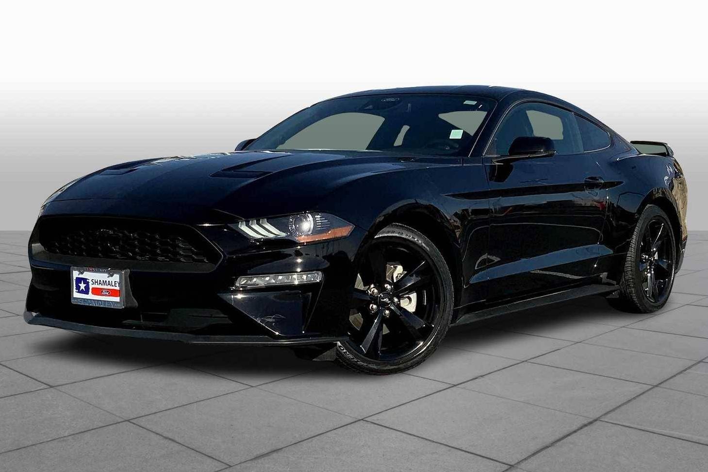 FORD MUSTANG 2023 1FA6P8THXP5106853 image