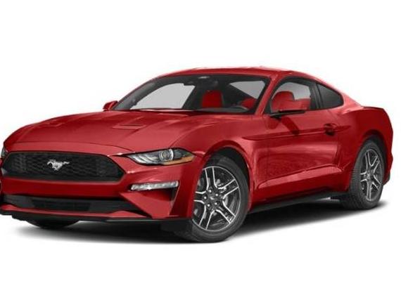 FORD MUSTANG 2023 1FA6P8TH9P5109906 image FORD MUSTANG 2023 1FA6P8TH9P5109906 image