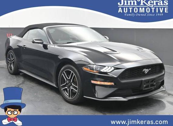 FORD MUSTANG 2023 1FATP8UH6P5103434 image