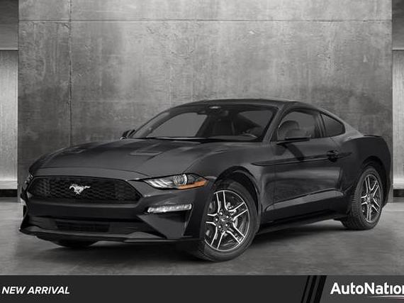 FORD MUSTANG 2023 1FA6P8THXP5113463 image