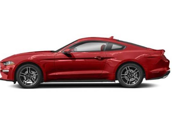FORD MUSTANG 2023 1FA6P8TH3P5103583 image