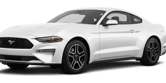 FORD MUSTANG 2023 1FA6P8TH8P5110397 image