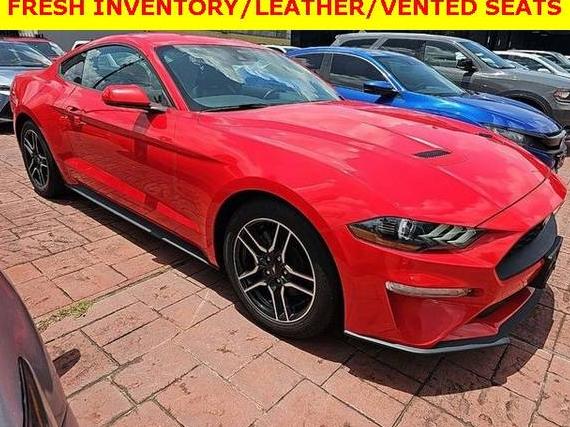 FORD MUSTANG 2023 1FA6P8TH5P5109708 image