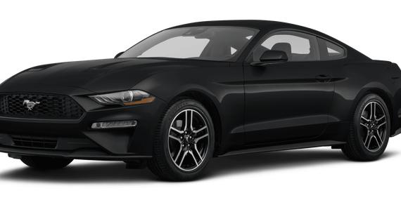 FORD MUSTANG 2023 1FA6P8TH0P5108384 image