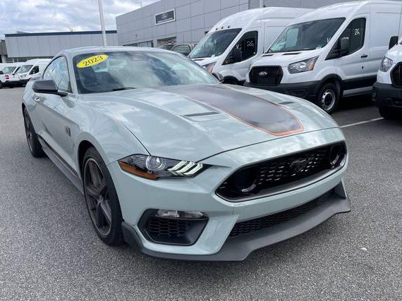 FORD MUSTANG 2023 1FA6P8R01P5501263 image