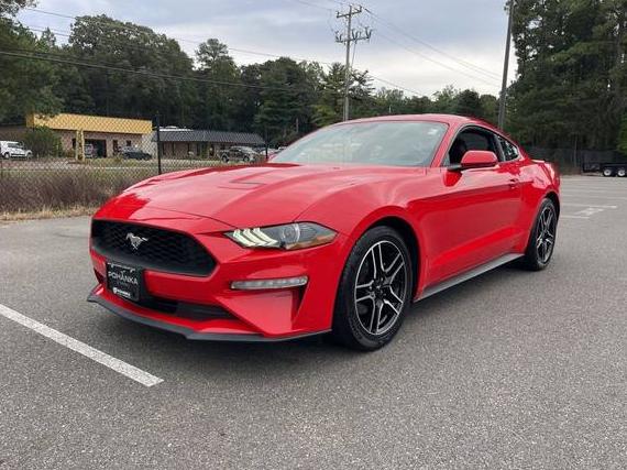 FORD MUSTANG 2023 1FA6P8TH5P5105237 image