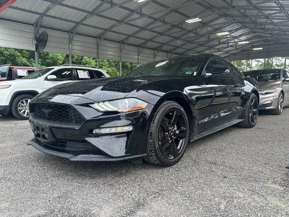 FORD MUSTANG 2023 1FA6P8TH4P5107271 image