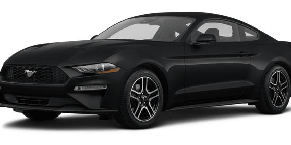 FORD MUSTANG 2023 1FA6P8TH2P5107799 image