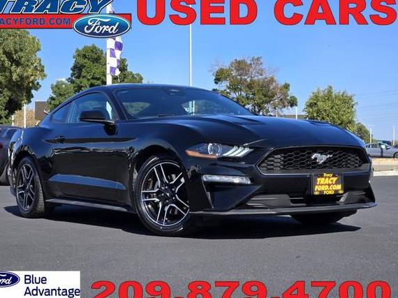 FORD MUSTANG 2023 1FA6P8TH7P5107877 image FORD MUSTANG 2023 1FA6P8TH7P5107877 image
