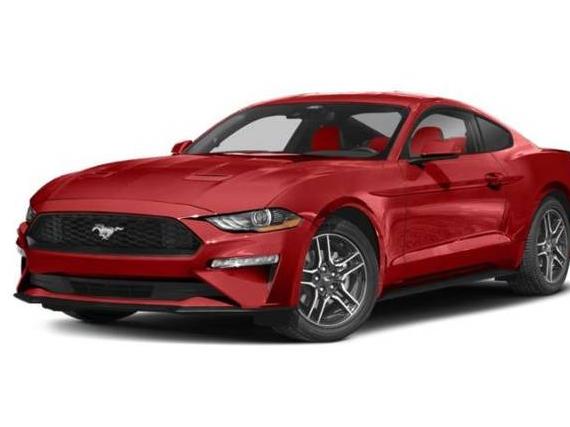 FORD MUSTANG 2023 1FA6P8TH2P5101131 image