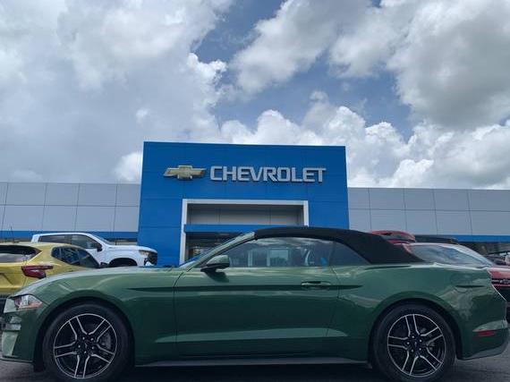 FORD MUSTANG 2023 1FATP8UH5P5103182 image