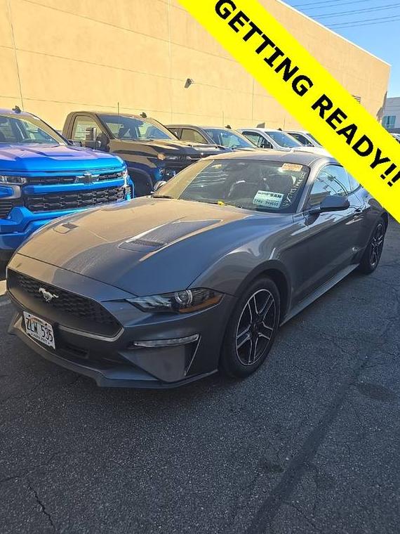 FORD MUSTANG 2023 1FA6P8TH5P5103844 image