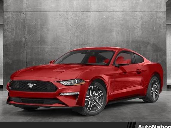 FORD MUSTANG 2023 1FATP8UH9P5103816 image