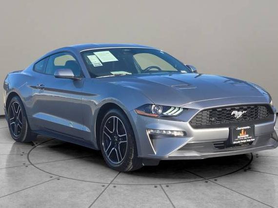 FORD MUSTANG 2023 1FA6P8TH6P5103545 image FORD MUSTANG 2023 1FA6P8TH6P5103545 image