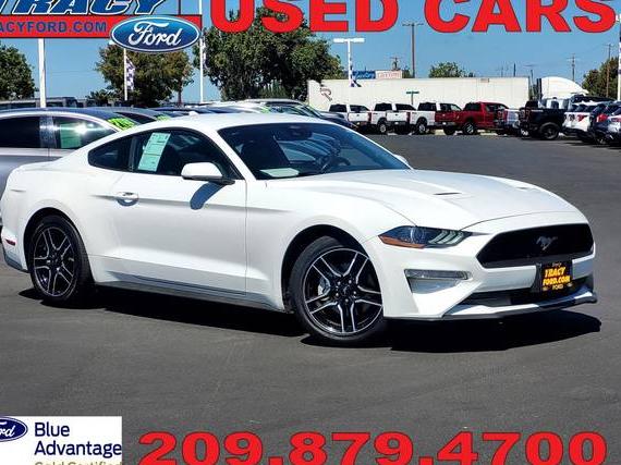 FORD MUSTANG 2023 1FA6P8TH7P5103635 image
