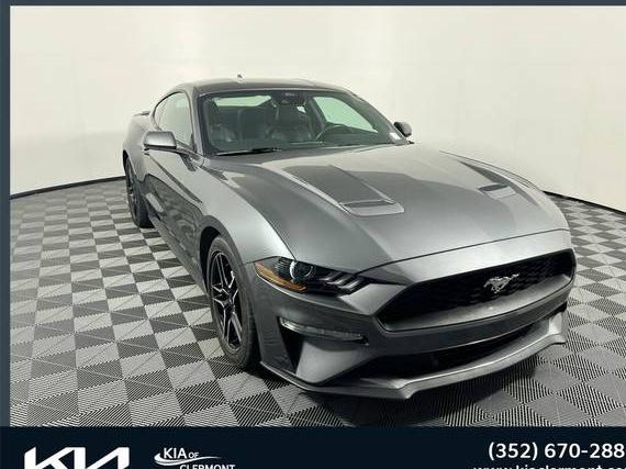 FORD MUSTANG 2023 1FA6P8TH1P5105610 image