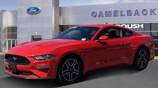FORD MUSTANG 2023 1FA6P8TH5P5109563 image