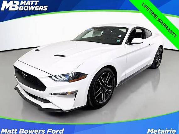 FORD MUSTANG 2023 1FA6P8TH0P5109051 image