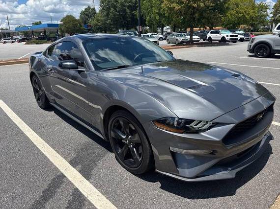 FORD MUSTANG 2023 1FA6P8TH2P5101601 image