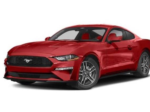 FORD MUSTANG 2023 1FA6P8TH4P5108467 image