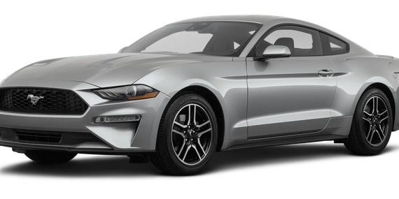 FORD MUSTANG 2023 1FA6P8TH1P5110662 image