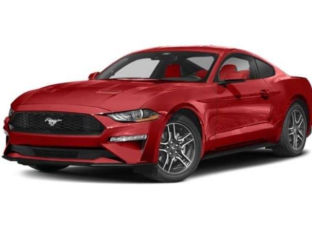 FORD MUSTANG 2023 1FA6P8TH2P5104031 image