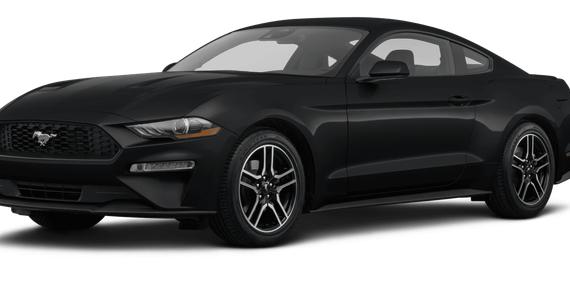 FORD MUSTANG 2023 1FA6P8TH7P5110052 image