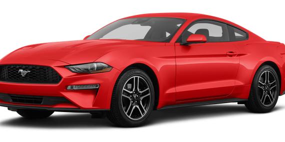 FORD MUSTANG 2023 1FA6P8TH0P5109177 image