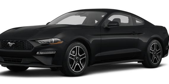 FORD MUSTANG 2023 1FA6P8TH3P5101039 image