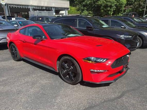 FORD MUSTANG 2023 1FA6P8TH4P5101938 image