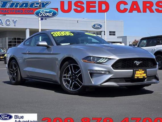 FORD MUSTANG 2023 1FA6P8TH7P5108317 image
