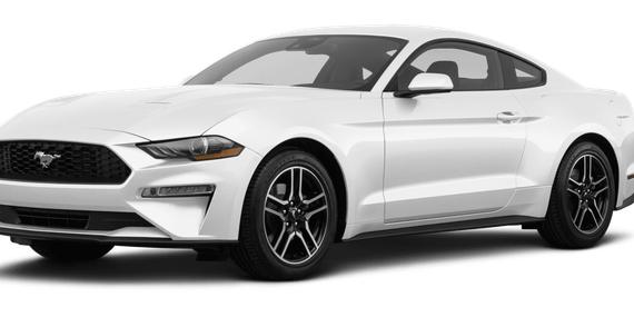 FORD MUSTANG 2023 1FA6P8TH6P5100029 image