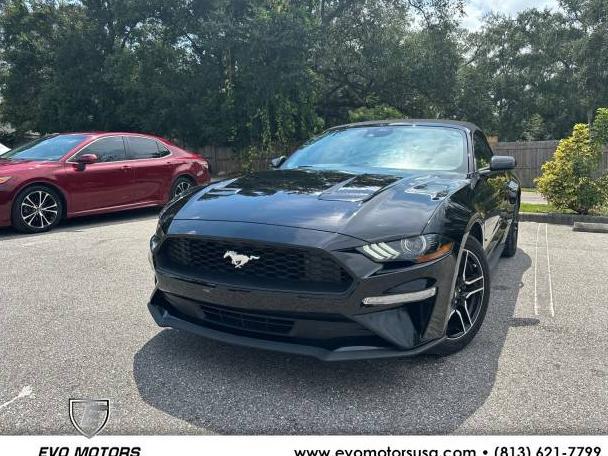 FORD MUSTANG 2023 1FATP8UH4P5103450 image