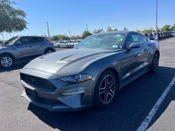 FORD MUSTANG 2023 1FA6P8TH9P5109064 image