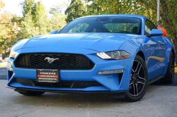 FORD MUSTANG 2023 1FA6P8TH2P5113487 image FORD MUSTANG 2023 1FA6P8TH2P5113487 image