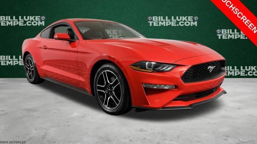 FORD MUSTANG 2023 1FA6P8TH6P5104369 image