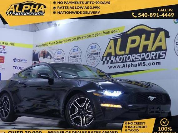 FORD MUSTANG 2023 1FA6P8TH6P5109734 image FORD MUSTANG 2023 1FA6P8TH6P5109734 image
