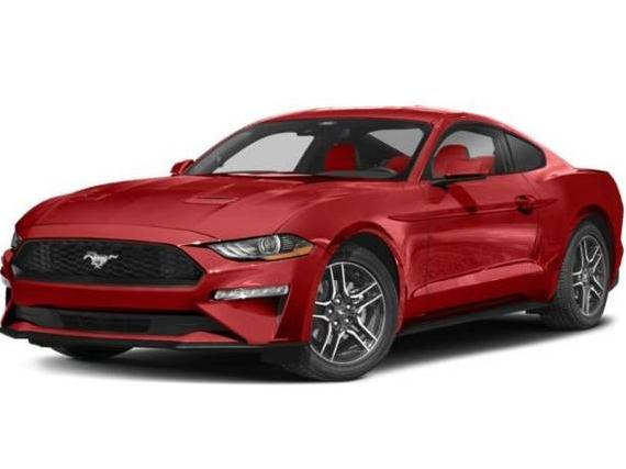 FORD MUSTANG 2023 1FA6P8TH7P5113582 image