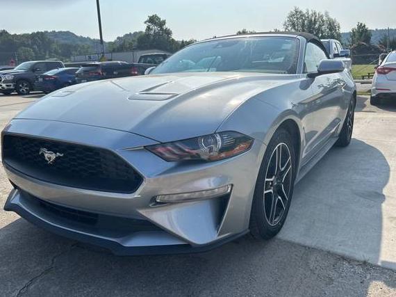 FORD MUSTANG 2023 1FATP8UH9P5103458 image
