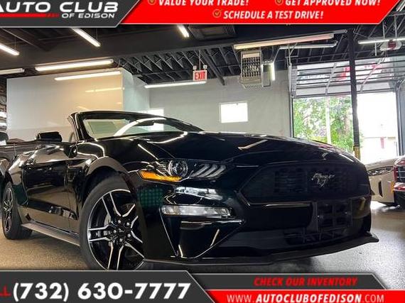 FORD MUSTANG 2023 1FATP8UH6P5108715 image FORD MUSTANG 2023 1FATP8UH6P5108715 image