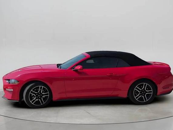 FORD MUSTANG 2023 1FATP8UH0P5105471 image