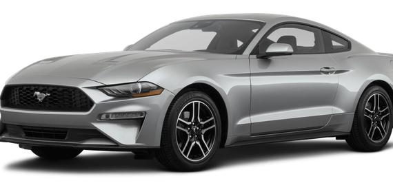 FORD MUSTANG 2023 1FA6P8TH5P5110065 image