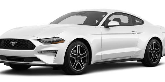 FORD MUSTANG 2023 1FA6P8TH4P5103575 image