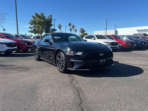 FORD MUSTANG 2023 1FATP8UH6P5110609 image FORD MUSTANG 2023 1FATP8UH6P5110609 image