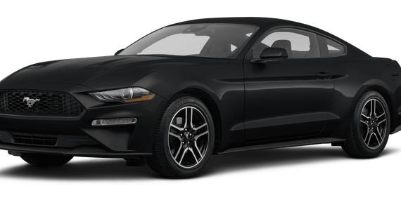 FORD MUSTANG 2023 1FA6P8TH4P5108159 image
