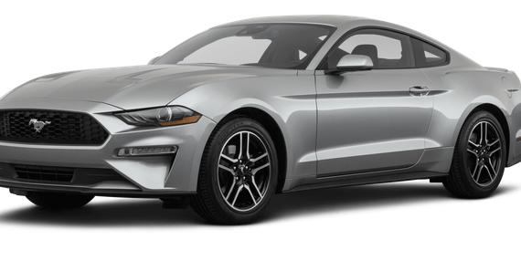 FORD MUSTANG 2023 1FA6P8TH4P5110008 image