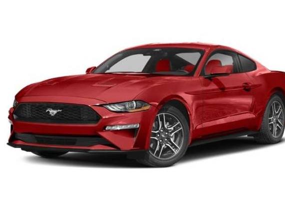 FORD MUSTANG 2023 1FA6P8TH9P5106634 image
