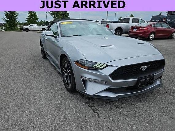 FORD MUSTANG 2023 1FATP8UH9P5110376 image
