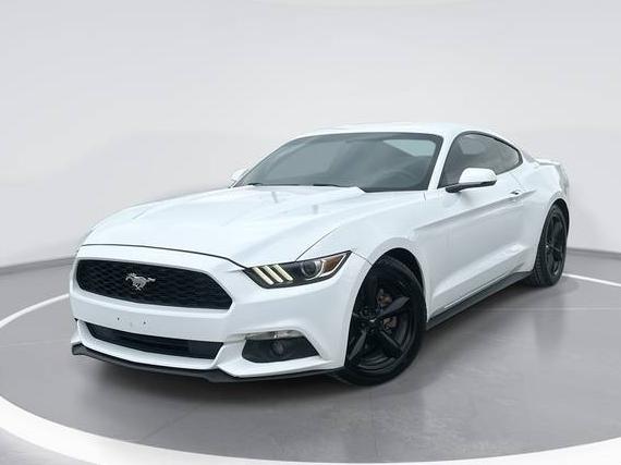 FORD MUSTANG 2016 1FA6P8AM0G5323554 image