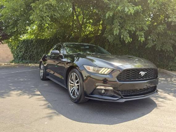 FORD MUSTANG 2016 1FA6P8TH3G5246811 image